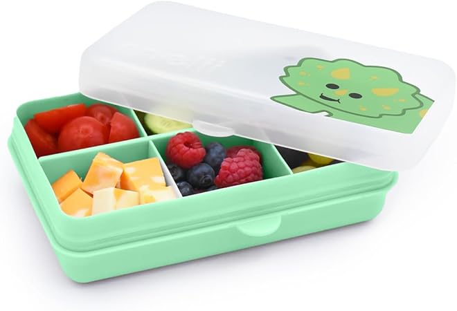 BOÎTE À 6 COMP. AJUSTABLES DINO MELII