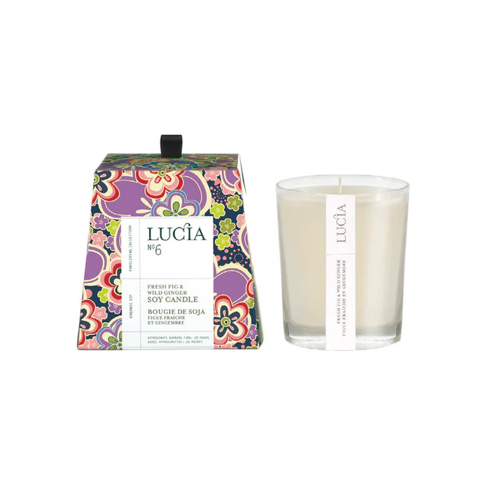CHANDELLE 20 HRES FIGUE FRAÎCHE & GINGEMBRE AROMASOURCE