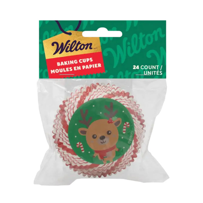 PQT (24) CAISSETTES RUDOLPHE WILTON