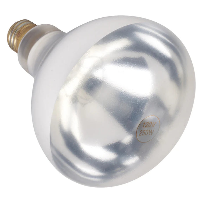 BULBE BLANC 250 W POUR LAMPE RÉCHAUD WINCO